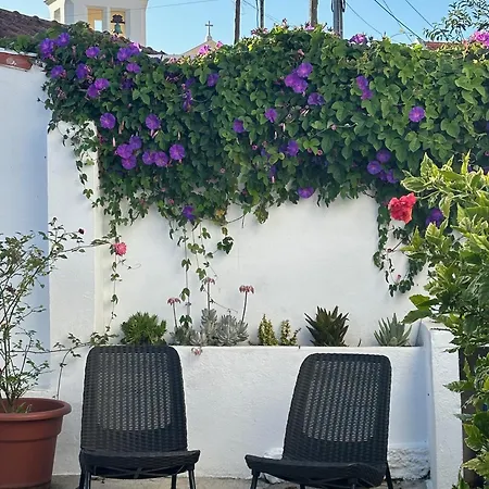 Rose's Foz Holiday home Foz do Arelho